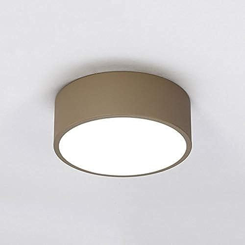 Nordic Style LED Flush Mount Ceiling Light with Wrought Iron Design and Frosted Glass Lampshade for High Light Transmission, Ideal for Modern Home Lighting