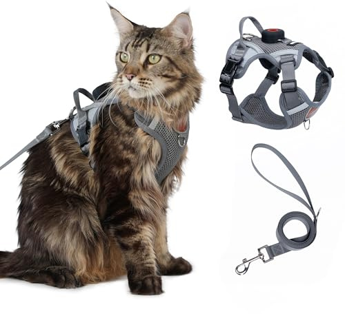 Cat Harness and Leash Set with AirTag Holder: Escape Proof Upgraded Vest with Lead for Small Cat Kitten Puppy Walking,Soft Breathable Mesh Coat with Reflective Strip, Grey, S