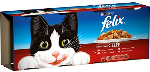 Felix Katzenfutter, zarte Stückchen in Gelee Mahlzeiten für erwachsene Katzen