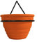 Garden Pride Wall Mounted Pot Ring - Simply screw to any brick wall or fence and hold plant pots or flower pots. Fits most terracotta pots with a lip or rim. Sold in pairs (7 Diameter)