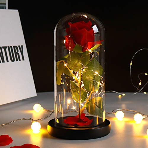 RECUTMS Kit di Rose,La Bella e la Bestia,Rosa in Cupola di Vetro con Luci LED,Eterna Regalo per San Valentino,Festa della Mamma,Giorno del Ringraziamento,Natale,Compleanno,Anniversario,Rosso