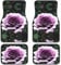 Lot de 4 tapis de voiture imperméables et universels pour SUV et camions - Imprimé rose noir