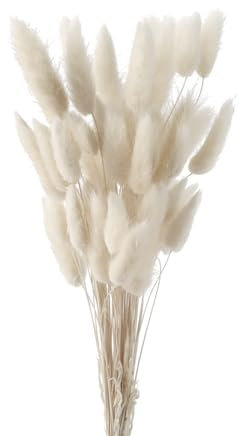 Herbe de Queue de Lapin Séchée, FENGCHUANG-Herbe De La Pampa Fleurs Séchées, 60 Pcs Ne Se Fanent Jamais Fleur Sechees pour Décoration de Maison, Mariage (Blanc)