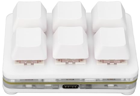 Denash Mechanische USB-Plug-and-Play-RGB-Tastatur Vom Typ C mit Speicherfunktion, Kleine Mechanische Tastatur, Hot-Swap-fähige Mechanische Schalter, für Office-Gaming-Musik (White)