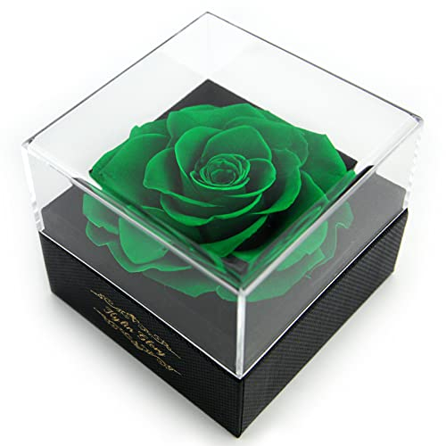 Kylin Glory Frische Schnittblume konservierte Rose für Frauen Mutter Frau Freundin - Blumengeschenk echte Rose Dekor für Muttertag Valentinstag Hochzeit Party Feier Geburtstag Jahrestag (grün)