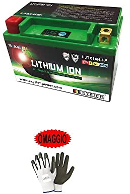 farbrothersonline Compatible avec BMW R GS Adventure (K51) 1200 2014-2018 Batterie AU Lithium SPÉCIFIQUE Batteries AU Lithium ION SKYRICH pour Moto Scooter 150X87X93-POS.SX Light Rechargeable
