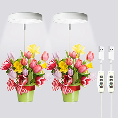 hixyer Grow Light for Indoor Plants, 2 Pack LED Grow Lights Full Spectrum, Height Adjustable Automatic On Off 3/9/12H Timer 10 Dimming Level Growing Lamp for Seedlings, Small Plant