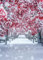 Displate - Poster aus Metall - Magnet-Montage - World Class Photos - Japan - Snowy Maples 67.5 cm x 48 cm