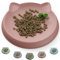 Wingcases - Katzennapf(1pc, 15x15cm, Koralle) | Futternapf Katze Silikon | Schutz der Katzenbarthaare | Fressnapf Katze Flach | Teller Breit | Katzen zubehör
