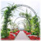 Arche de jardin en métal pour plantes grimpantes intérieur/extérieur, 120350 cm de largeur, ornement d'arcade décoratif, parfait pour treillage et décoration de jardin (350 x 220 cm)
