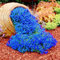 Ultrey Seed House - Fragrance Long Haired Mountain Thyme Seeds Sand Thyme Creeping Carpets Groundcover Perennial Flowers Stonecrop Seed Hardy Perennial