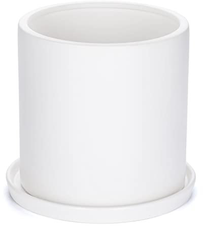 SANDYBAYTAS Pflanztöpfe 25,4 cm Keramik-Übertopf mit Ablaufloch und Untertasse, matt-weiß, moderner zylinderförmiger Übertopf für Innen- und Außenpflanzen, Blumen, vollständig glasierte Oberfläche