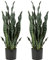 Hollyone 2PCS Künstliche Pflanzen Groß, Höhe 64cm Künstliche Sansevieria Deko Wohnzimmer Pflanze Zimmerpflanzen Balkon Büro Deko, Künstliche Pflanze für den Heimgarten Bürodekoration