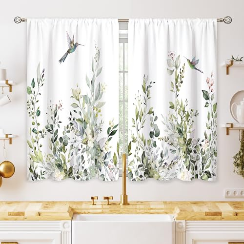 oolygoo Salbeigrün Eukalyptus, botanische Blätter, Blumenblätter, Blumenblatt, Kleiner Kolibri, Fensterbehandlung, Café, Kurze Vorhänge für Badezimmer, Behandlung, Stufenvorhänge, 69,8 x 99,1 cm