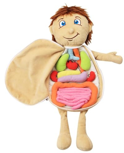 Anatomy Toys for Children - 3D Model Puppen der menschlichen Anatomie, Tools für Untersuchung Awareness | des Körpers Spielzeug aus Plüsch-Bildungseinrichtungen für vereinte