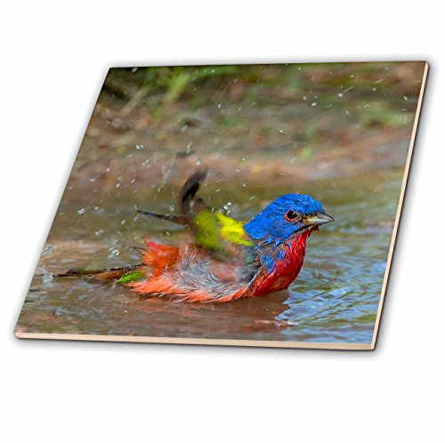 3dRose CT_, 1 bemalt Wimpelkette Baden in Klein Pond-Ceramic Fliesen, 10,2 cm