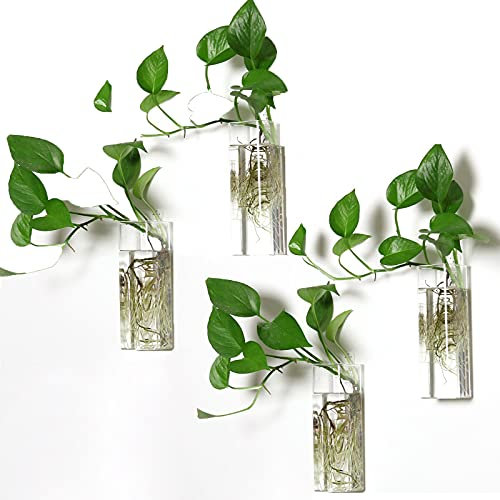 PACDONA Paquete de 4 macetas rectangulares para Colgar en la Pared, terrarios de Cristal para Plantas de Aire, suculentas y Flores, decoración Moderna Transparente para Interiores