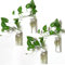 Pacdona Blumentöpfe zum Aufhängen an der Wand, Glas-Terrarien – rechteckige Form, Pflanzenhalter, Luftpflanzen, Sukkulenten, Pflanzgefäße, Blumen, Glas, Wandvase, Behälter für Pflanzen, Dekoration und