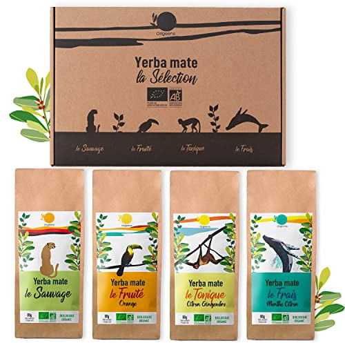 ORIGEENS COFFRET MATE BIO x4 | Le Sauvage - Le Fruité - Le Tonique - Le Frais | Yerba Maté Bio 4x80gr | Set Maté, Idée Cadeau
