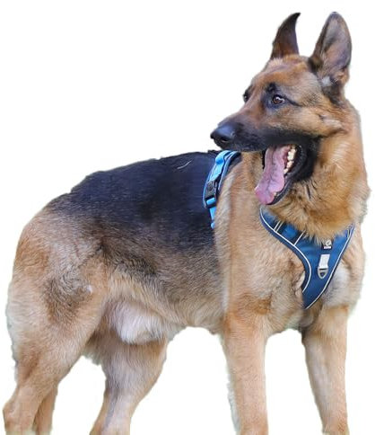 Coogime atmungsaktives Hundegeschirr No Pull Brustgeschirr Reflexstreifes Geschirr für Hunde Sicheres Welpengeschirr Führung Einstellbar Weich (blau, s)