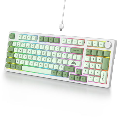 Ussixchare Wired Creamy Gaming Keyboard with Number Pad, 96% Hot-swappable Mechanical Keyboard, Full Layout Custom Keyboard Gasket Mounted with Red Switch Knob Control(Green)