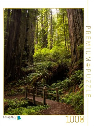 CALVENDO Puzzle Redwood National and States Park | 1000 Teile Lege-Größe 48 x 64 cm Foto-Puzzle für glückliche Stunden