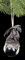Figuren Shop GmbH Drachen Christbaumschmuck Checkmate schwarz | Weihnachten Deko Anhänger Gothic Fantasy Kugel
