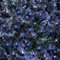 AMOS 180 LED Net Mesh String Fairy Lights 1.8m x 1.2m 4 x AA Battery Operated with 8 Functions and Timer for Indoor Outdoor Christmas Tree House Garden Decoration (Blue & White)