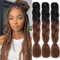 Jooceebaby Kunsthaar Zum Einflechten Easy Braid Vorgedehnte Braids Extensions Schwarz/Kupfer HaarverläNgerungen 24 Zoll 3packs Haar Zum Einflechten Braids ZopfverläNgerungen (Black/Dark Brown)