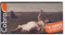 Cobra Artist Professionelles wasservermischbares Ölfarben-Set | The Peasants Landscape Selection | 10 Farben (40 ml Tuben)