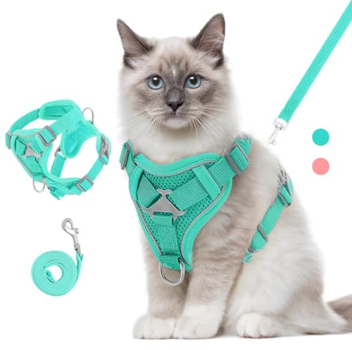 VavoPaw Katzengeschirr und Leine Set für Spaziergänge, Einstellbar Kätzchen Weste Geschirr mit Reflektierend Streif, Flucht Beweis Haustier Sicherheitsweste für Katzen, Welpen, M, See blau