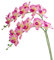 Htmeing 96,5 cm künstliche Phalaenopsis-Blumen, Äste, fühlen sich echt an (nicht Seide), Orchideen-Blumen für Zuhause, Büro, Hochzeitsdekoration, 2 Stück (Gelb Lila)