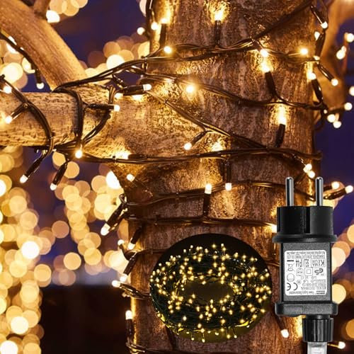 Fiqops LED Lichterkette Außen 30M 300LEDs 8 Modi, IP44 wasserdicht Lichterketten mit Memory Funktion für Party Hochzeit Garten Balkon Weihnachten, Warmweiß, Dunkelgrüner Draht