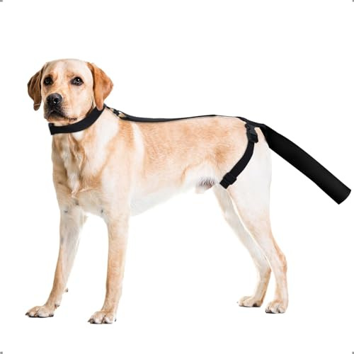 OHCOZZY Protezione della Coda del Cane, Fasciatura per la Coda del Cane per Le estremità della Coda, Imbracatura per Cani per Un Comodo Recupero da ferite,L