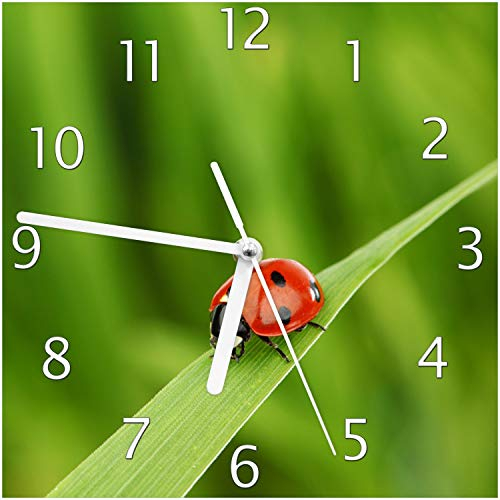 Wallario Design-Wanduhr Marienkäfer auf grünem Blatt aus Glas, Motiv-Uhr Größe 20 x 20 cm, weiße Zeiger