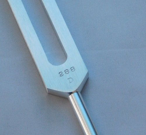 D 288 HZ Unweighted Tuning Fork