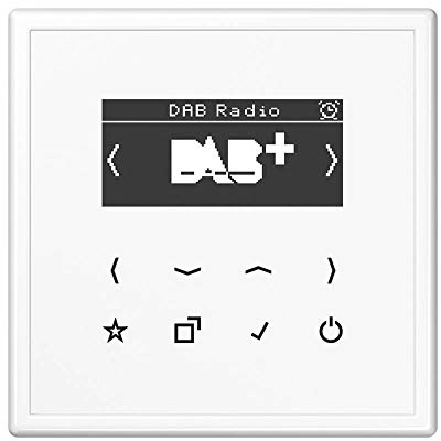 Jung Smart Radio DAB Komplett-Set Weiß Serie LS DABLSWW mit 1-Fach Rahmen LS981WW