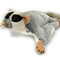 Flughörnchen Kuscheltier Gleithörnchen Premium Plüschtier AAYANA - Kuscheltiere*biz