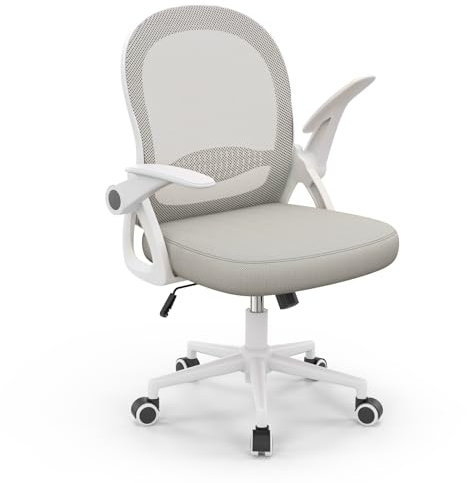 naspaluro Silla de Oficina, Silla de Escritorio Ergonómica con Malla Transpirable, Reposabrazos Abatibles, Silla para Ordenador de Altura Regulable, Silla Giratoria de 360°, Gris