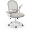 naspaluro Silla de Oficina, Silla de Escritorio Ergonómica con Malla Transpirable, Reposabrazos Abatibles, Silla para Ordenador de Altura Regulable, Silla Giratoria de 360°, Gris