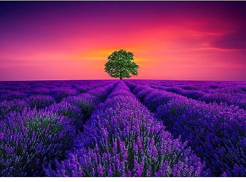 Puzzle 1000 Teile - Erwachsene, Impossible, Geschicklichkeitsspiel für Die Ganze Familie, Farbenfrohes Legespiel, Home Dekoration - Provence-Lavendel