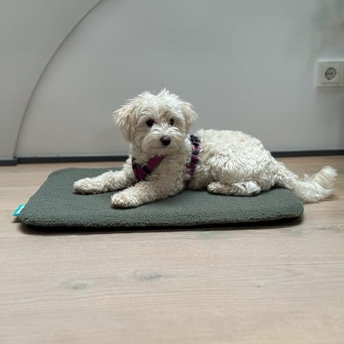 Manuly Hundedecke für unterwegs, Set aus Hundematte selbstaufblasend, robusten Teddy Stoff Bezug und Tragetasche, waschmaschinentauglich, Bezug kann gewechselt Werden, 60x40x3,5cm, 470g