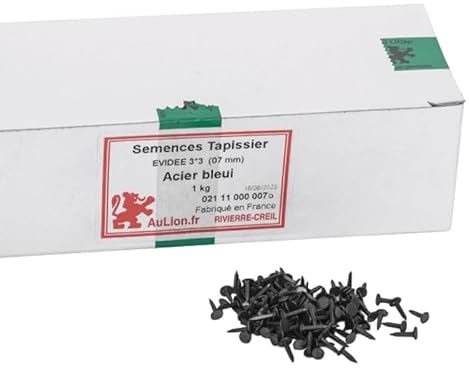 Semences Tapissier Évidées 7mm 3/3 - Ø 3,5mm - 1kg - Petits Clous Tapissier de Haute Qualité pour Pose de Toiles, Sanglage, Guindage et Appointage - Fabriqué en France