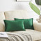 OMMATO Kissenbezug 30x50 cm Grün Kissenbezüge Samt dekorative Kissenhülle 2er Set Dekokissen für Sofa Schlafzimmer Wohnzimmer Auto