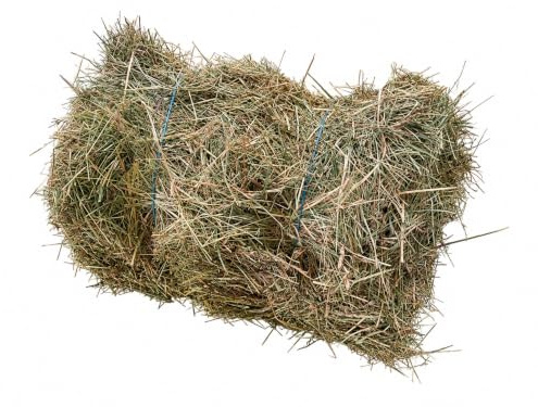 Foin de Prairie 100% Naturel – Aliment pour rongeurs, Lapins, Chevaux, chèvres – Récolté en France – Ballot de 2,5 kg