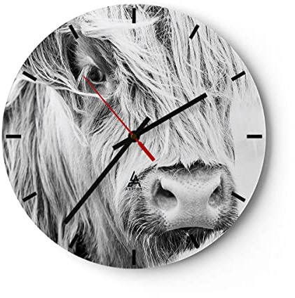 Modern Wanduhr Kuh Scotch Tier 30x30cm Rund Klein Wand Uhr Glas Analog Zimmeruhren Küche Büro Wohnzimmer Glasuhr Wall Clock Dekoration Design Wanddekoration Küchenuhr C3AR30x30-5129