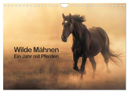 Wilde Mähnen: Ein Jahr mit Pferden (Wandkalender 2026 DIN A4 quer), CALVENDO Monatskalender: Natürliche Eleganz und Vitalität von Pferden in natürlicher Umgebung. (CALVENDO Tiere)
