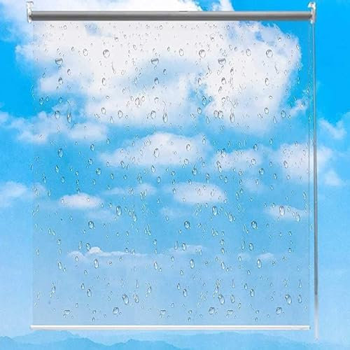 ZHUOZ1T Tenda a Rullo Trasparente Impermeabile,Tapparella Avvolgibile Plastica in PVC con Catenella Laterale,Isolamento,Polvere,per Giardini Esterni,Balconi,Bagno,Larghezza X Altezza (80x150cm)