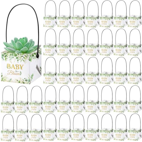 Soaoo 60 bolsas de regalo para suculentas para baby shower, suculentas, con asa, para plantas suculentas, cestas de papel a granel, suministros de decoración de fiesta de baby shower (planta no