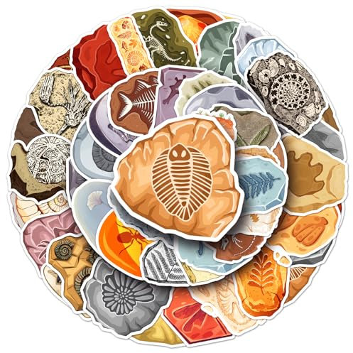 50Pcs Fossil Stickers, Plant Animal Fossil Stickers for Water Bottles Laptops Phones Skateboards, Aesthetic Dinosaur Fossils Sticker for Kids Teens Adults